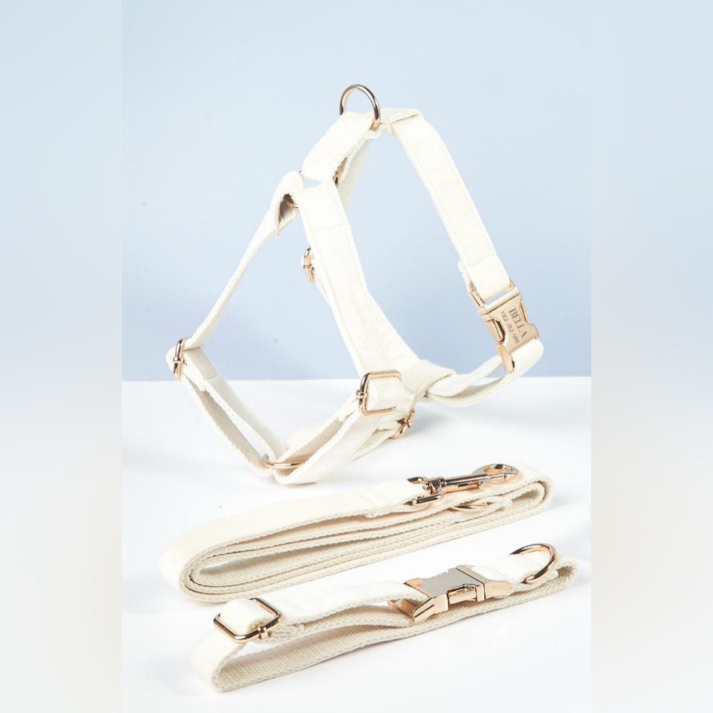 Flower Girl Dog Harness and Leash Set for Wedding